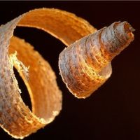 Photo de Menuisier à Gignac