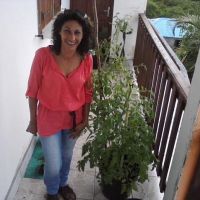 Photo de Restauration à Le Gosier