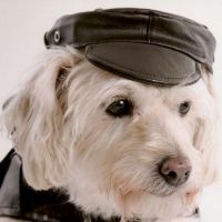 Photo de Autres services à Stiring Wendel