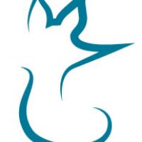 auto-entrepreneur Webmaster Webmaster, CHILLY MAZARIN 91