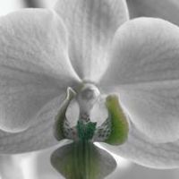 Photo de Secrétaire à Etreham