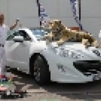 auto-entrepreneur Autres services Autres services, ST ANDRE D EMBRUN 05