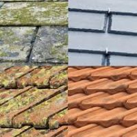 Photo de Peintre à Rieux