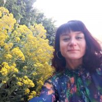 auto-entrepreneur Comptable Comptable, LYON 44