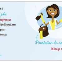 Menage et repassage ENTREVAUX