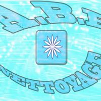 auto-entrepreneur Agent d'entretien Agent d'entretien, FLEURY LES AUBRAIS 45