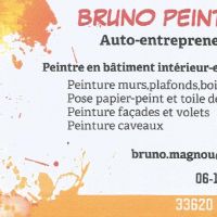 auto-entrepreneur Peintre Peintre, CUBNEZAIS 33