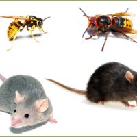 Photo de Autres services à Melle