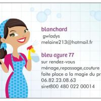 Photo de Femme de ménage à Provins