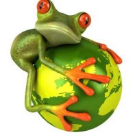 auto-entrepreneur Commercial Commercial, CHOLET 49