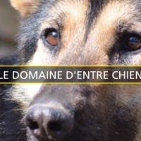 Photo de Garde d'animaux à Montaulin