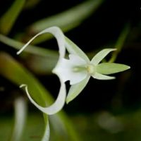 auto-entrepreneur Autres services Autres services, Paris 75