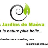 Photo de Paysagiste à Frejus