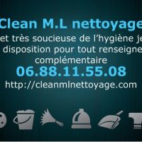 sevices nettoyage REIGNIER