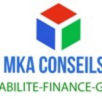 auto-entrepreneur Comptable Comptable, VILLEURBANNE 69