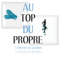 auto-entrepreneur Agent d'entretien Agent d'entretien, SARTROUVILLE 78