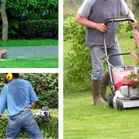 auto-entrepreneur Jardinage Jardinage, courrieres 62