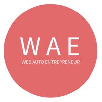 auto-entrepreneur Webmaster Webmaster, VERSAILLES 78