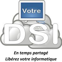 auto-entrepreneur Consultant informatique Consultant informatique, MEYZIEU 69