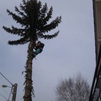 Photo de Jardinage à St Julien
