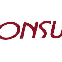 auto-entrepreneur Consultant Consultant, Fontenay sous bois 94