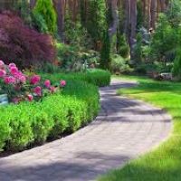 Photo de Jardinage à Noyers Sur Cher