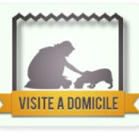 Garde d'animaux à Vernou La Celle Sur Seine