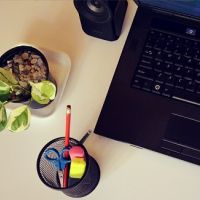 auto-entrepreneur Développeur Développeur, CHANAS 