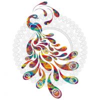 auto-entrepreneur Graphiste Graphiste, MACON 