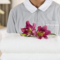 Gouvernante ST ETIENNE DU GRES