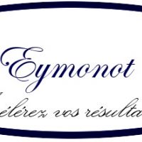 auto-entrepreneur Consultant Consultant, LYON 8EME ARRONDISSEMENT 