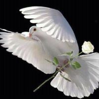 Photo de Autres services à Roisey